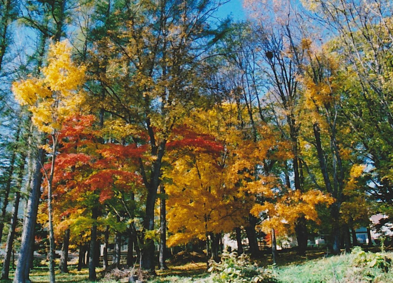 Cottage Morino Nakamatachi Nakafurano Exterior foto